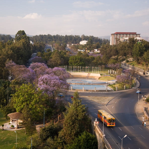 AMR Ethiopia image set