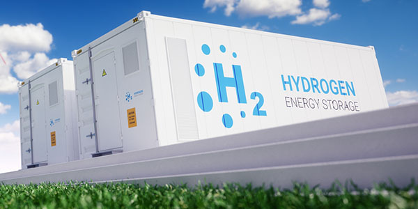 The Green Hydrogen Economy