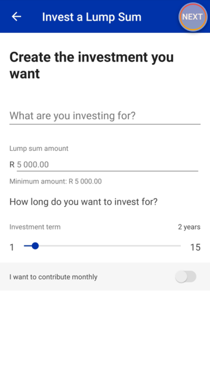 SaveInvest_investLumpSum.png